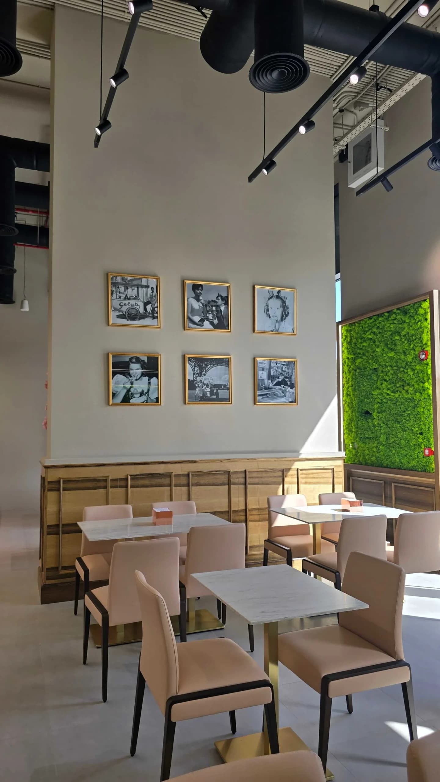 CremGlasse — Downtown Sharjah — image 5